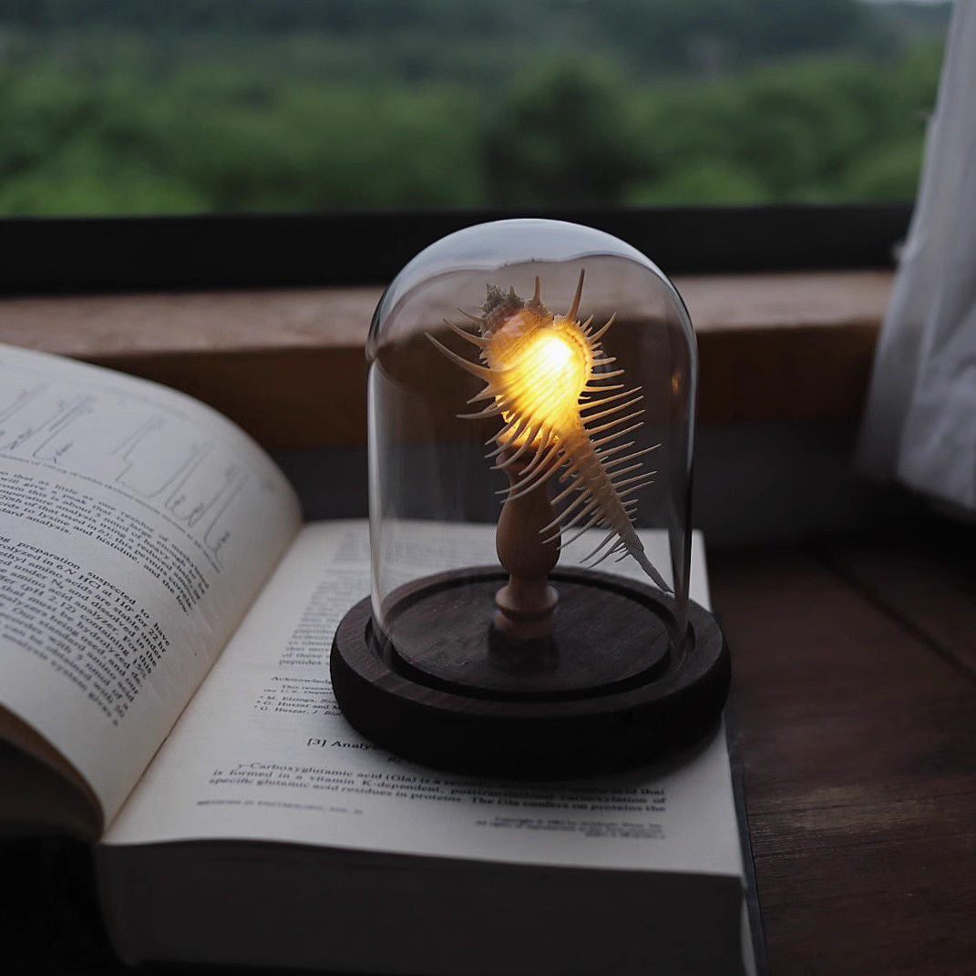 Lumora GlowDome – Golden Sea Urchin Glass Dome Decor